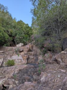 Chaos de rochers aux teintes rouges et ocre parsemés de lauriers-roses en fleurs roses, entourés d'une végétation méditerranéenne dense de pins et d'arbustes de garrigue, au départ du sentier de montée vers l'El Garbí, sous un ciel bleu vif.