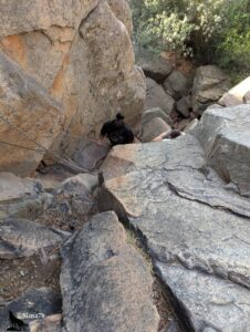 Deux randonneurs progressant dans un passage rocheux très pentu entre des blocs de granite, s'aidant d'une chaîne métallique et d'un câble fixés dans la paroi pour se hisser, vus de dessus, dans un couloir encaissé ombragé.