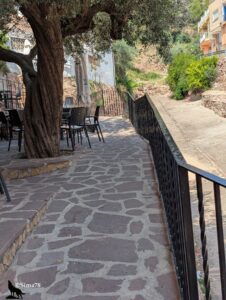 Terrasse de bar dallée de pierres irrégulières à l'ombre d'un olivier centenaire au tronc noueux, avec des tables et chaises noires disposées sous les branches, bordée d'une rambarde en fer forgé dominant une ruelle en pente, à Segart.