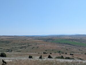 Vue panoramique sur le causse du Larzac, vaste plateau calcaire semi-aride aux teintes ocre et beige parsemé de genévriers et de parcelles agricoles vertes, avec des reliefs bleutés à l'horizon, sous un ciel bleu pâle et légèrement voilé par la chaleur estivale.