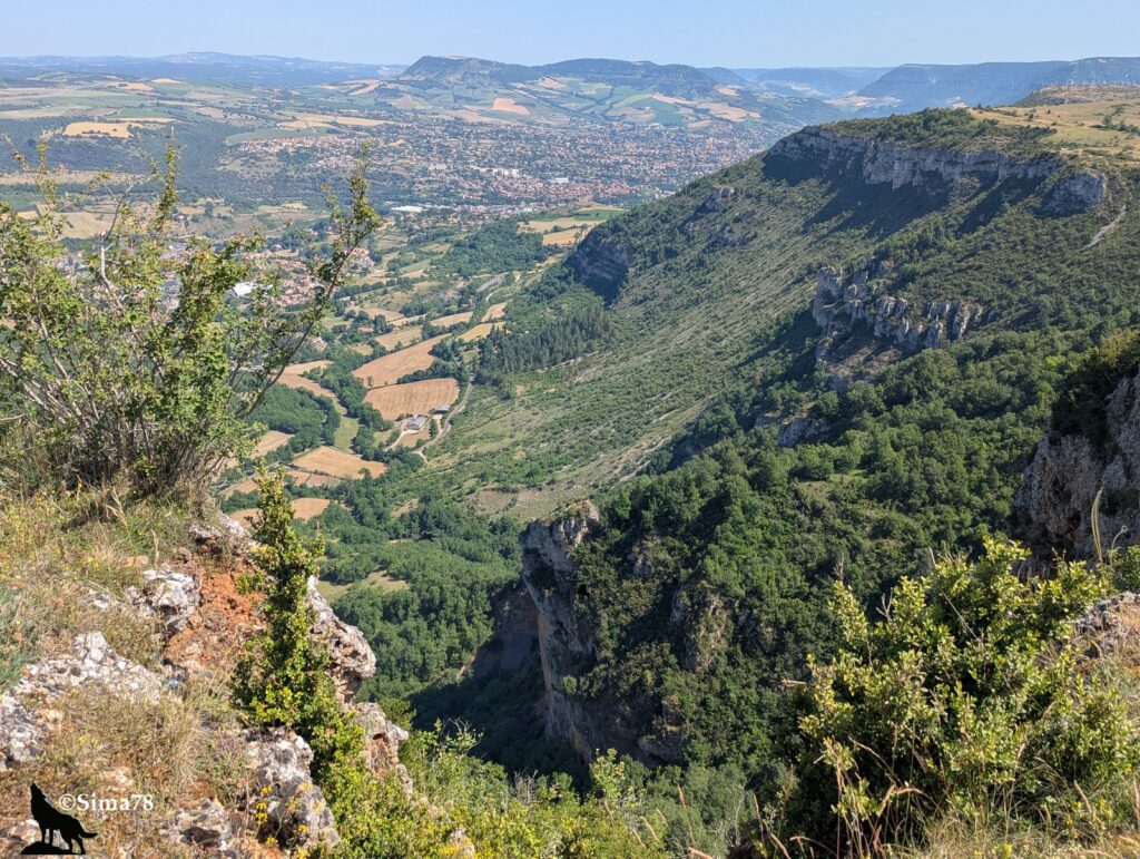 Vue en plongée depuis le rebord calcaire du causse du Larzac sur la vallée encaissée menant à la ville de Millau, avec des falaises boisées et des parois rocheuses à droite, un fond de vallée agricole et boisé, et l'agglomération de Millau étalée dans la plaine en arrière-plan, sous un ciel bleu de juin.
