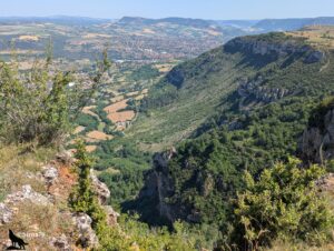 Vue en plongée depuis le rebord calcaire du causse du Larzac sur la vallée encaissée menant à la ville de Millau, avec des falaises boisées et des parois rocheuses à droite, un fond de vallée agricole et boisé, et l'agglomération de Millau étalée dans la plaine en arrière-plan, sous un ciel bleu de juin.