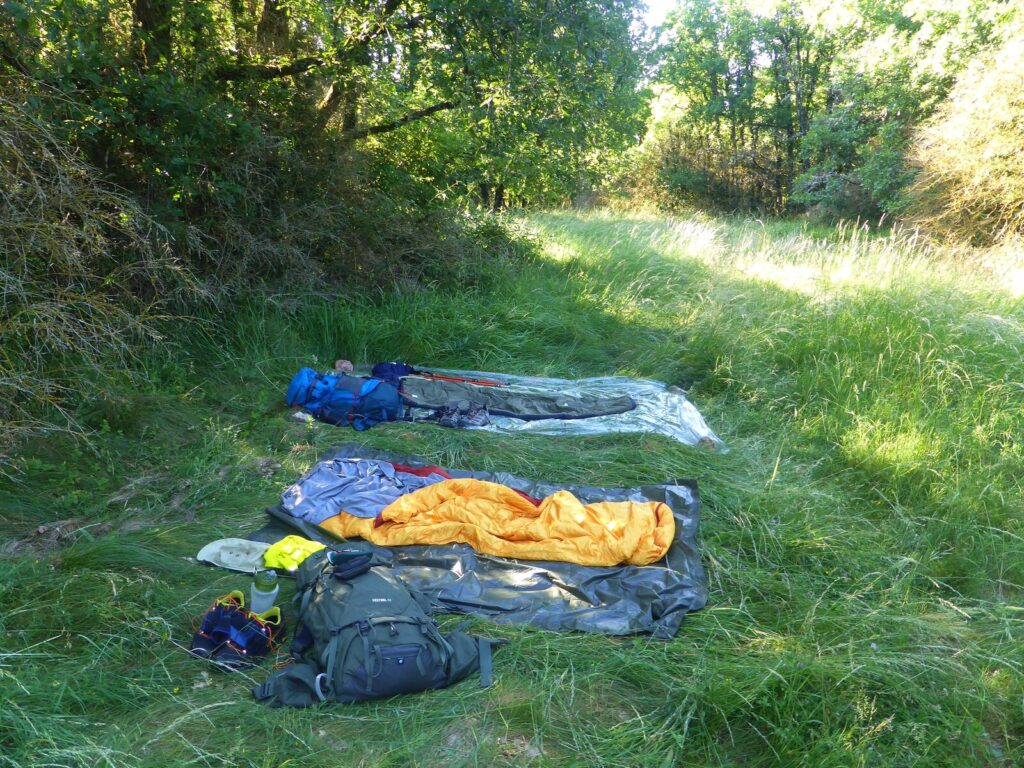 Deux couchages de bivouac installés côte à côte dans une clairière herbeuse en lisière de forêt, composés de matelas de sol argentés, d'un sac de couchage orange et de couvertures de survie, avec sacs à dos et équipement dispersés au premier plan, en pleine lumière de juin.