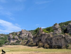 Chaos de rochers calcaires aux formes érodées et tourmentées dominant un champ de céréales dorées, avec les ruines de bâtiments en pierre visibles en pied de paroi à gauche, et une végétation de chênes et de pins en arrière-plan, sous un ciel bleu à cumulus blancs.
