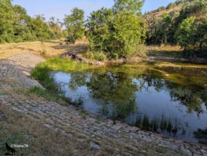 Mare circulaire peu profonde aux berges pavées de dalles calcaires, entourée de joncs et de végétation arbustive se reflétant dans une eau calme et limpide, dans une légère dépression du causse du Larzac, sous une lumière matinale rasante.