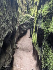 Sentier de terre étroit s'enfonçant dans la fissure naturelle du site des Canalettes, entre deux parois verticales de roche dolomitique entièrement couvertes de mousse et de fougères, avec un bloc rocheux coincé en surplomb au-dessus du passage, dans une lumière tamisée et verdoyante.