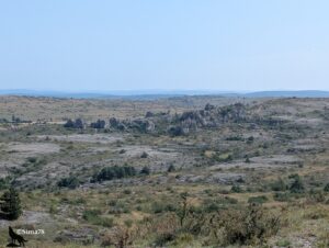 Vue panoramique sur le causse du Larzac sous la chaleur de juin, avec un lapiaz calcaire affleurant au sol, des chaos de rochers dolomitiques érodés aux formes tourmentées, une végétation rase de genévriers et d'arbustes, et un horizon lointain estompé par la brume de chaleur.