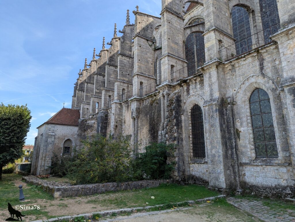 Façade latérale de l’église Saint-Pierre de Chartres, avec ses contreforts, ses vitraux et ses arcs brisés, entourée de végétation et d’un petit bâtiment adjacent.