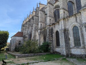 Façade latérale de l’église Saint-Pierre de Chartres, avec ses contreforts, ses vitraux et ses arcs brisés, entourée de végétation et d’un petit bâtiment adjacent.