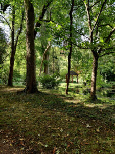 Jardin boisé avec des arbres imposants, un kiosque en bois rouge au fond, et un étang entouré de végétation, baigné de lumière naturelle.