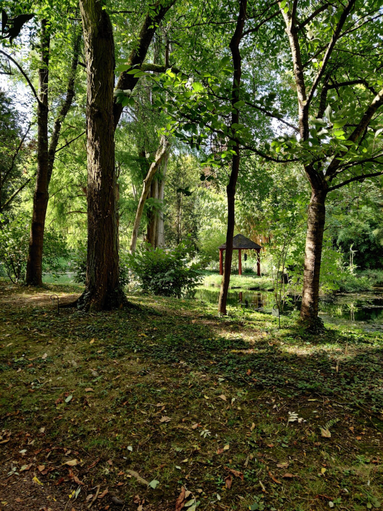 Jardin boisé avec des arbres imposants, un kiosque en bois rouge au fond, et un étang entouré de végétation, baigné de lumière naturelle.