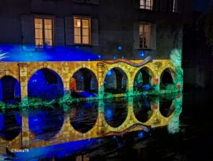 Lavoirs en pierre illuminés par des projections colorées (bleu, orange, vert) représentant des animaux, des plantes tropicales et des motifs aquatiques, avec des reflets dans l’eau, de nuit.