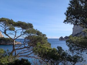 Vue depuis le bord de la calanque de Sormiou à travers les branches tordues d'un pin parasol sur la Méditerranée bleue, avec une falaise calcaire blanche et un rocher affleurant à droite, sous un ciel bleu légèrement voilé.