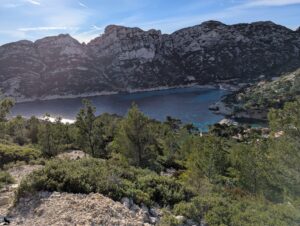 Vue panoramique en hauteur depuis le sentier de remontée sur la calanque de Sormiou, avec ses eaux turquoise et bleu profond encadrées par des falaises calcaires massives aux teintes grises, quelques cabanons et habitations visibles sur les rives, et une végétation méditerranéenne de pins et de garrigue au premier plan, sous un ciel bleu de janvier.