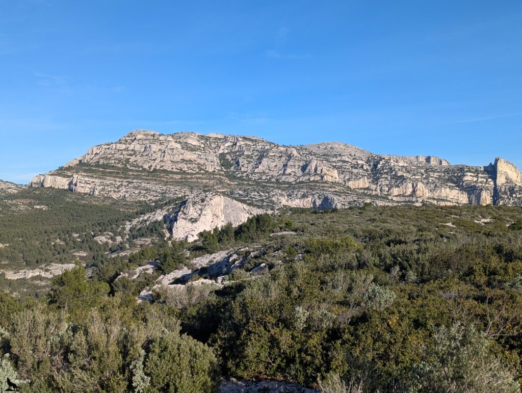 Vue panoramique depuis le Col de Morgiou sur le massif des Calanques, avec une longue barre rocheuse calcaire aux parois grises et blanches dominant une garrigue dense de pins et d'arbustes méditerranéens, avec à droite une aiguille rocheuse caractéristique, sous un ciel bleu hivernal parfaitement dégagé.