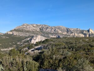 Vue panoramique depuis le Col de Morgiou sur le massif des Calanques, avec une longue barre rocheuse calcaire aux parois grises et blanches dominant une garrigue dense de pins et d'arbustes méditerranéens, avec à droite une aiguille rocheuse caractéristique, sous un ciel bleu hivernal parfaitement dégagé.