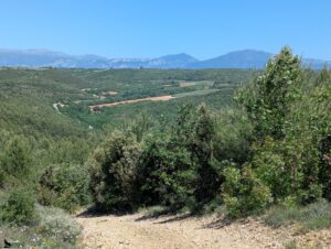 Sentier caillouteux en descente après une crête, avec vue panoramique sur un paysage de collines boisées, champs cultivés aux teintes ocre et vertes, et massifs montagneux dans l'arrière-plan sous un ciel bleu.
