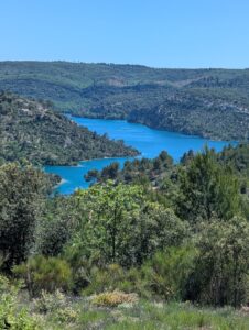 Vue plongeante sur le lac d'Esparron-de-Verdon depuis un versant boisé, ses eaux turquoise encaissées entre des collines couvertes de forêts de chênes et de pins, sous un ciel bleu sans nuage.