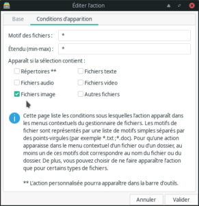 Fenêtre « Éditer l'action », onglet Conditions d'apparition, avec uniquement la case « Fichiers image » cochée