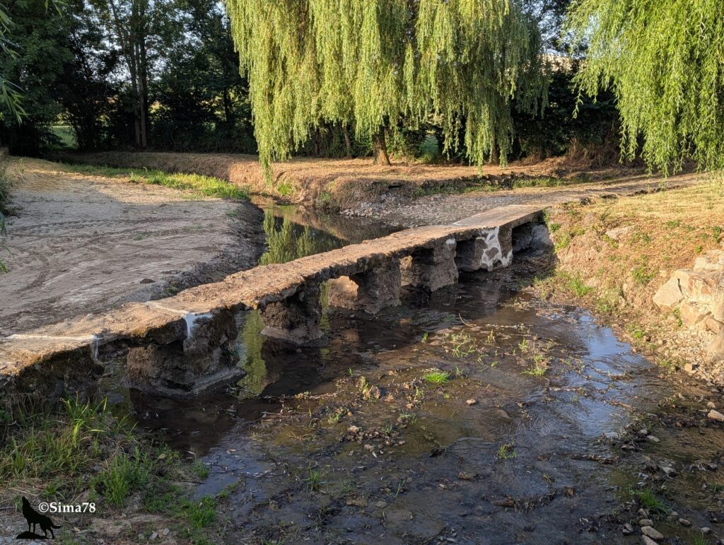 Photographie d'un petit pont rustique en pierre traversant l'Igneraie, une rivière peu profonde bordée de saules pleureurs, dans un cadre champêtre baigné de lumière matinale.