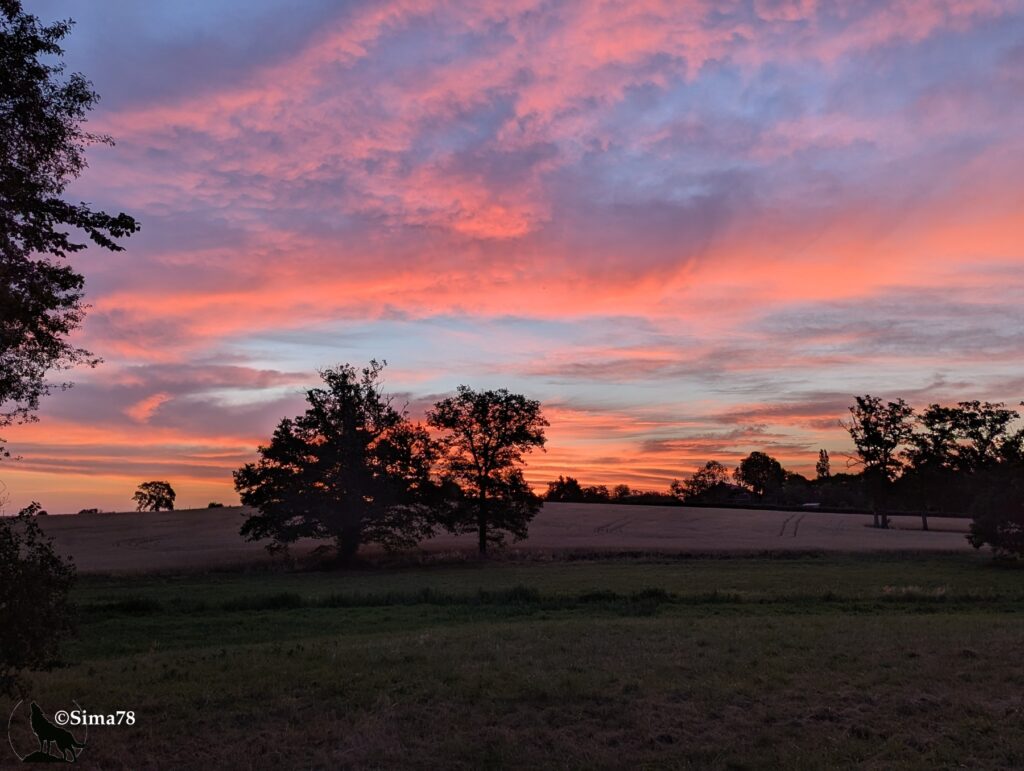 Photographie d'un ciel spectaculaire aux teintes roses et orangées avant le lever du soleil, silhouettes d'arbres et de champs se détachant en contre-jour à l'horizon.