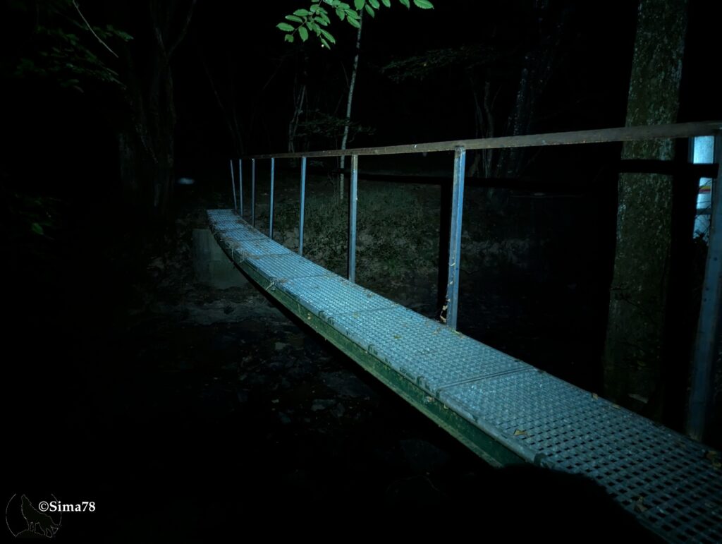Photographie nocturne d'une passerelle métallique en caillebotis, éclairée par une lampe frontale, traversant un cours d'eau au milieu d'une végétation dense.