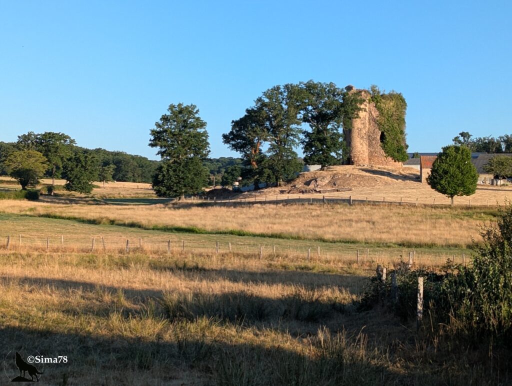 Photographie d'une tour en ruines couverte de lierre, vestige d'un ancien château perché sur un léger monticule, entourée d'arbres et de prairies, sous un ciel bleu clair.