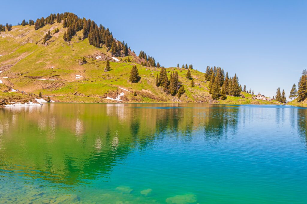 Un lac de montagne aux eaux turquoise et vertes, entouré de pentes herbeuses et de sapins, avec quelques plaques de neige résiduelle.