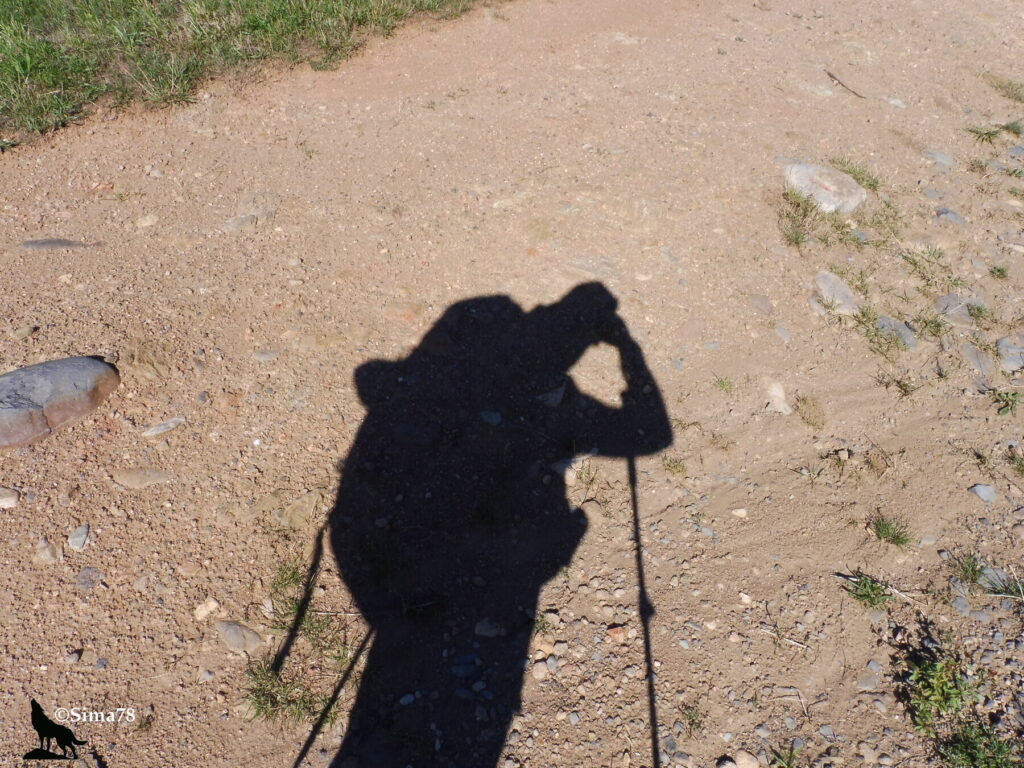 Ombre portée d'un randonneur avec sac à dos et bâtons de marche, photographiant, projetée sur un chemin de terre caillouteux bordé d'herbe.