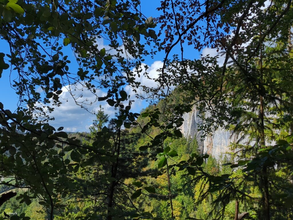 Vue à travers un feuillage dense sur une forêt de feuillus et de conifères dévalant une pente, avec une grande paroi rocheuse claire à droite et un ciel bleu parsemé de nuages.