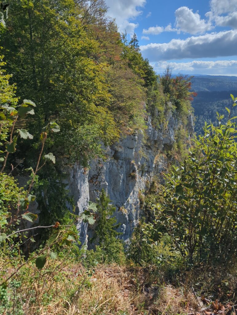 Vue verticale sur une paroi rocheuse grise surmontée d’arbres aux feuillages vert et roux, avec au premier plan des buissons et de l’herbe sèche, et au loin des collines boisées sous un ciel bleu et nuageux.