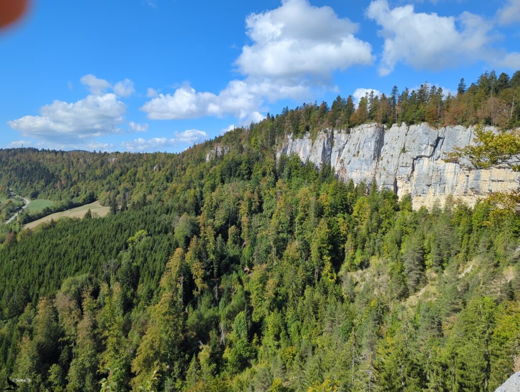 Vue plongeante sur une pente couverte de forêt mêlant feuillus et conifères, dominée à droite par une longue falaise de roche claire, avec une route et une prairie au fond de la vallée à gauche, sous un ciel bleu semé de gros nuages.