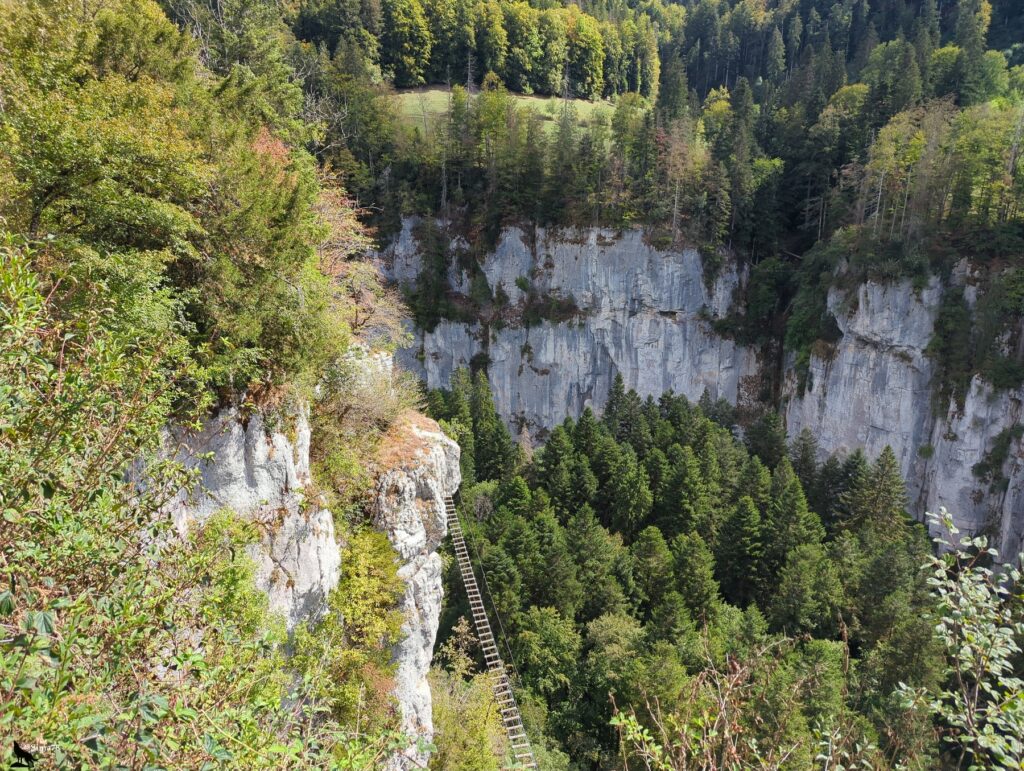 Vue plongeante sur une échelle de corde à barreaux de bois suspendue le long d’une paroi rocheuse claire, qui descend vers une forêt de conifères au fond d’un cirque de falaises grises, sous un couvert de feuillages au premier plan.