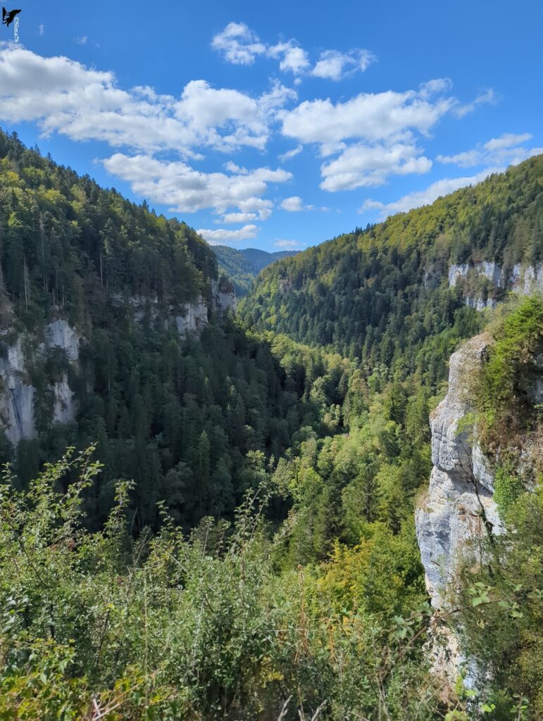Vue plongeante sur une vallée encaissée aux versants couverts de forêt, avec des pans de falaise claire sur la gauche et la droite, un éperon rocheux au premier plan à droite, et un ciel bleu parsemé de gros nuages blancs.