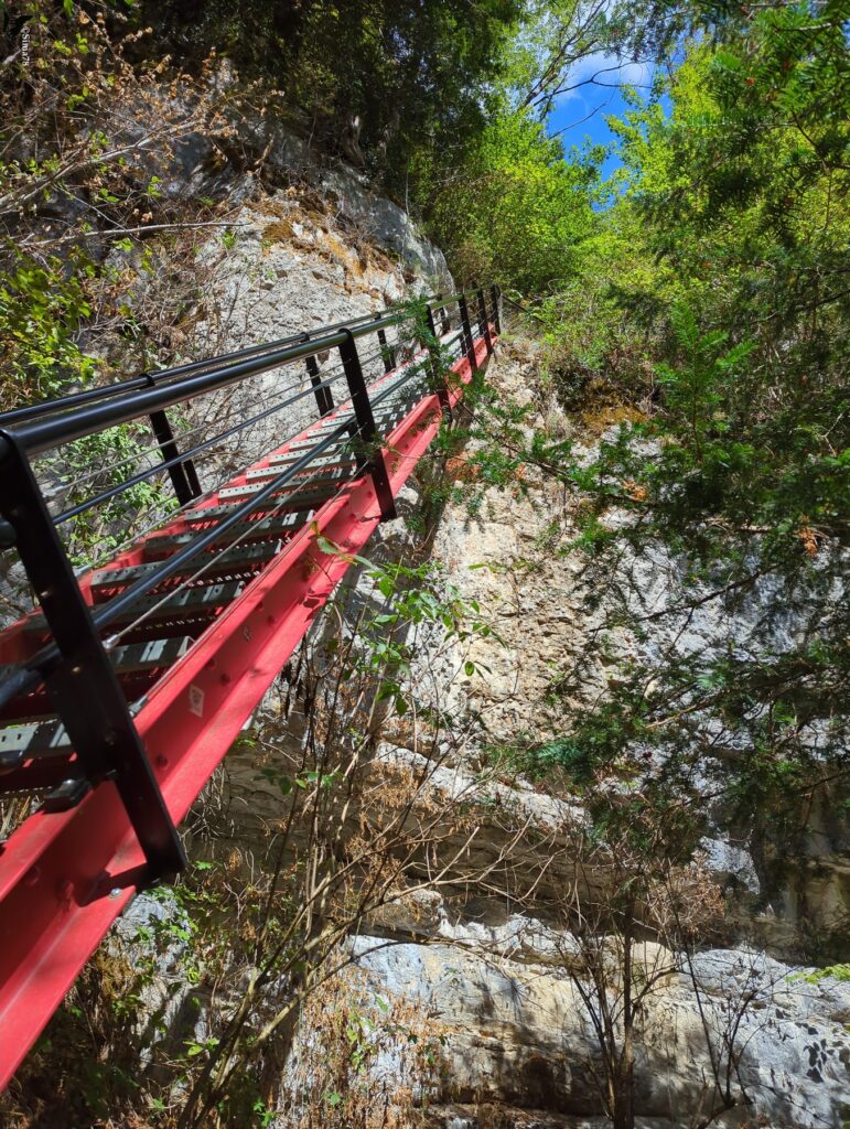 Vue en contre-plongée d’une longue échelle métallique à structure rouge et marches ajourées, munie de rampes noires et de câbles tendus, fixée le long d’une paroi rocheuse claire et entourée de végétation, sous un ciel bleu.
