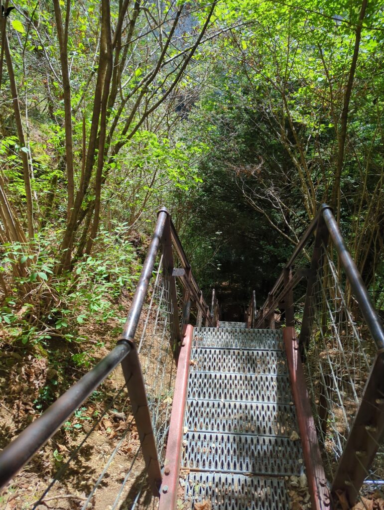 Vue plongeante sur un escalier métallique à marches ajourées et à structure rouge, bordé de rampes et de grillage, qui s’enfonce dans un couloir de végétation dense.