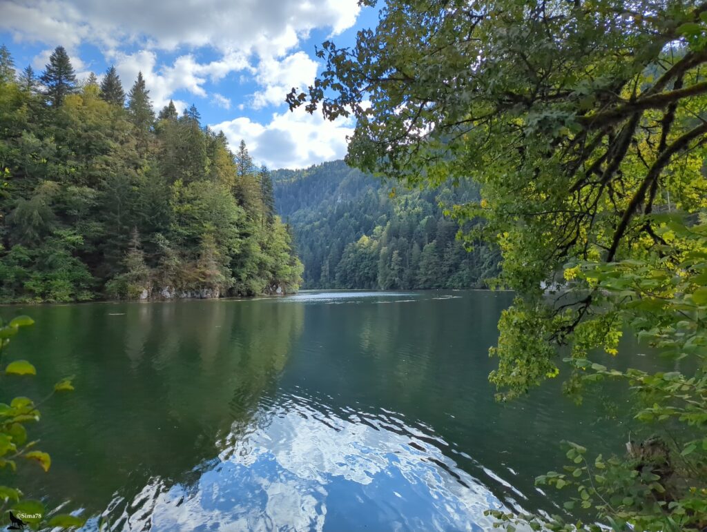 Étendue d’eau calme aux reflets verts et bleus, bordée de pentes boisées de conifères et de feuillus, avec les nuages reflétés à la surface ridée au premier plan et un feuillage aux teintes jaunissantes qui encadre la vue à droite.