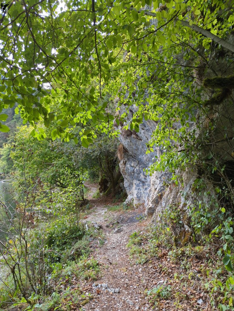 Sentier étroit de terre et de cailloux qui longe une paroi rocheuse claire, sous un feuillage vert lumineux, avec une nappe d’eau visible à gauche entre les branches.