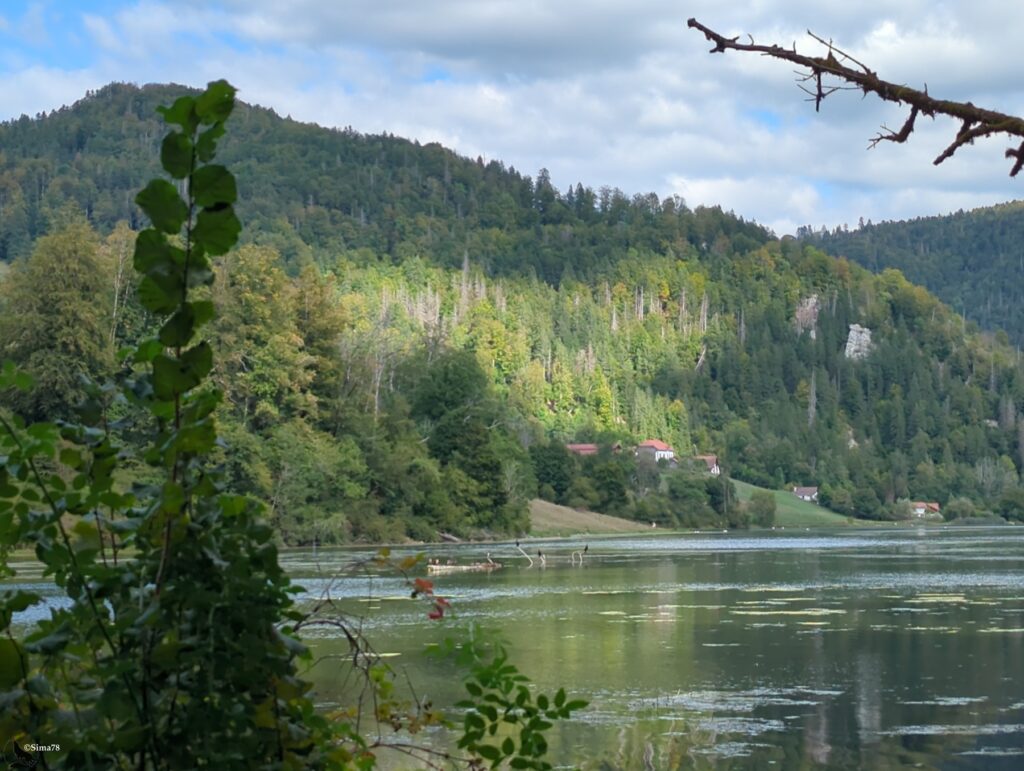 Lac aux eaux calmes semées de petites plantes flottantes, avec un tronc émergé où se perchent des oiseaux sombres, au pied d’un versant boisé où se nichent quelques maisons aux toits rouges, sous un ciel nuageux.